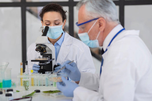 Lab-Made vs Natural Zeolites