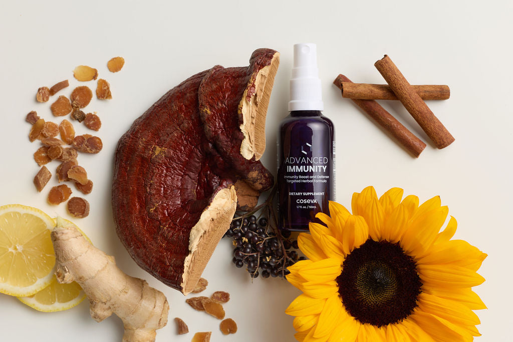 Is Your Immune System Regulated? Why Balance Matters More Than Strength