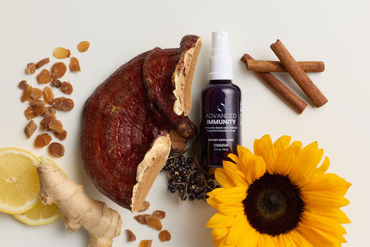 Is Your Immune System Regulated? Why Balance Matters More Than Strength