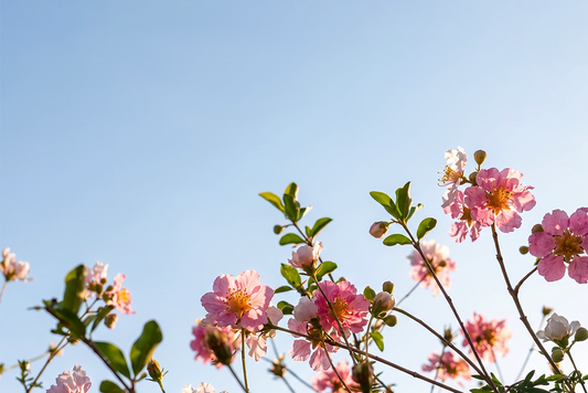 Cleaner Planet, Cleaner Body: Why What's in Your Environment Matters